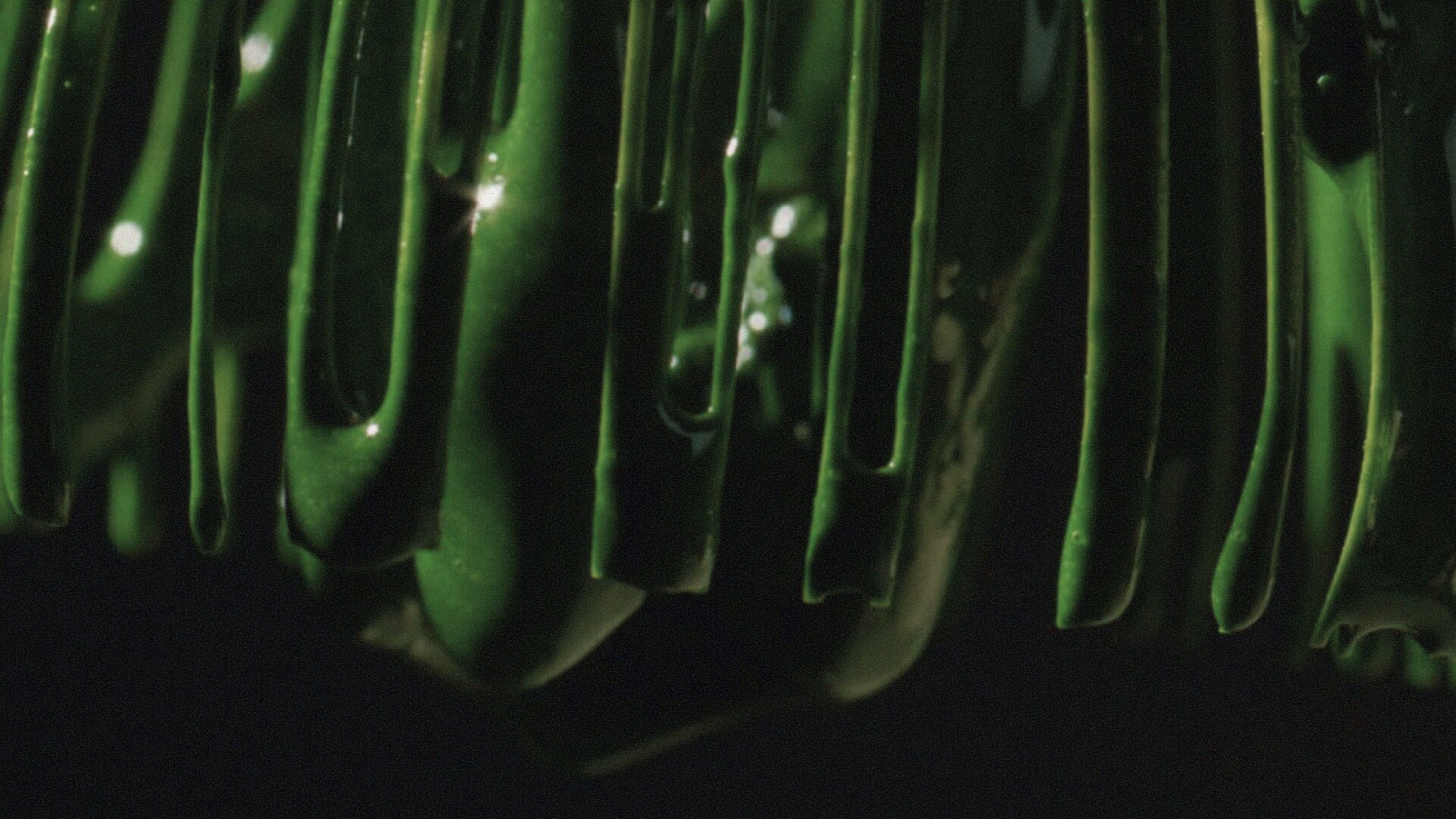 A macro view of a chasen whisk, deep matcha green and glossy, evoking the everyday ritual at the heart of JINGŪ.